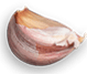 The Port of Peri Peri